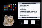 Foto (Objekt + Etikett) von ? Goniodromites sp.  (NHMW-GEO-1990-0041-4674)